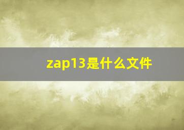 zap13是什么文件