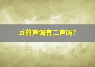 zi的声调有二声吗?