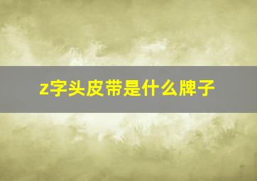 z字头皮带是什么牌子