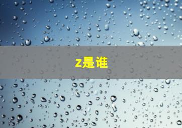 z是谁