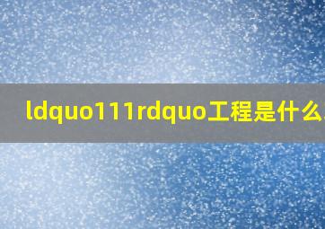 “111”工程是什么玩意(