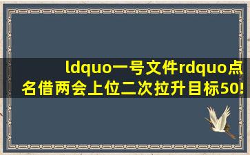 “一号文件”点名,借两会上位,二次拉升目标50!