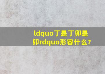 “丁是丁卯是卯”形容什么?