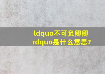 “不可负卿卿”是什么意思?