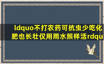 “不打农药可抗虫,少吃化肥也长壮,仅用雨水照样活”的“绿色超级稻...