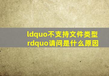 “不支持文件类型 ”请问是什么原因