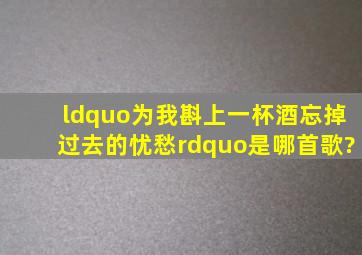 “为我斟上一杯酒忘掉过去的忧愁”是哪首歌?