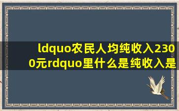 “农民人均纯收入2300元”里什么是纯收入是说一年的收入吗