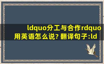 “分工与合作”用英语怎么说? 翻译句子:“我们进行了一下分工与合作...