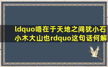 “唔在于天地之间,犹小石小木大山也。”这句话何解?