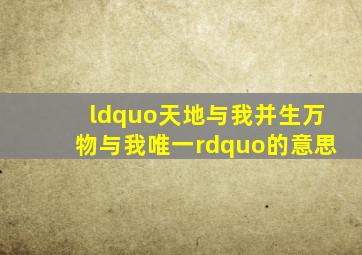 “天地与我并生万物与我唯一。”的意思(