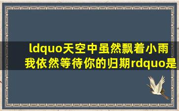 “天空中虽然飘着小雨 我依然等待你的归期”是什么歌