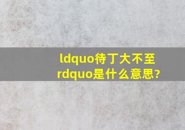 “待丁大不至”是什么意思?