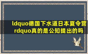 “德国下水道,日本夏令营”真的是公知提出的吗 