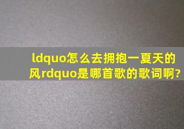 “怎么去拥抱一夏天的风”是哪首歌的歌词啊?