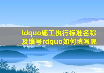 “施工执行标准名称及编号”如何填写呢(