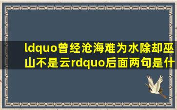 “曾经沧海难为水,除却巫山不是云”后面两句是什么,又是什么意思啊??