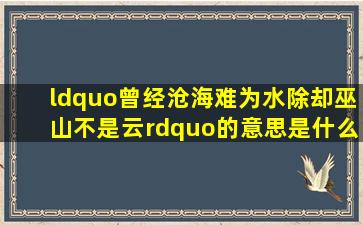 “曾经沧海难为水,除却巫山不是云”的意思是什么?