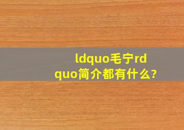 “毛宁”简介都有什么?