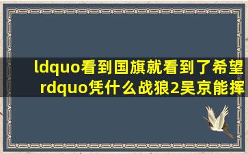 “看到国旗,就看到了希望”,凭什么《战狼2》吴京能挥舞国旗通行