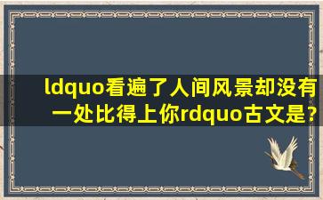 “看遍了人间风景,却没有一处比得上你”古文是?