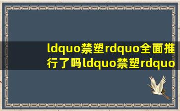 “禁塑”全面推行了吗“禁塑”后我们的生活方式发生了哪些变化