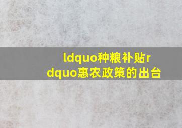 “种粮补贴”惠农政策的出台