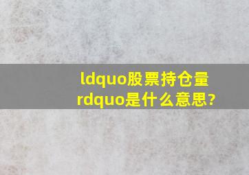 “股票持仓量”是什么意思?