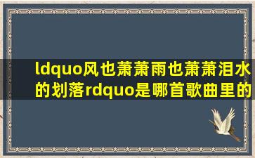 “风也萧萧雨也萧萧泪水的划落”是哪首歌曲里的歌词?