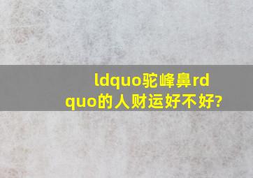 “驼峰鼻”的人财运好不好?