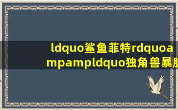 “鲨鱼菲特”&“独角兽暴肌厨房”欧包测评