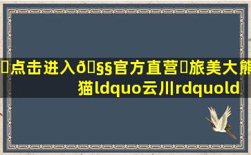 ✅点击进入🧧官方直营✅旅美大熊猫“云川”“鑫宝”8月与...