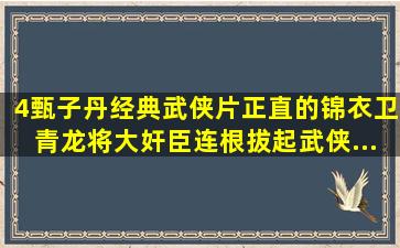 《4》甄子丹经典武侠片,正直的锦衣卫青龙,将大奸臣连根拔起,武侠...