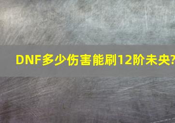 《DNF》多少伤害能刷12阶未央?