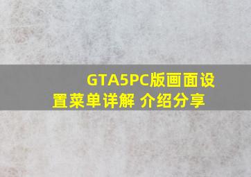 《GTA5》PC版画面设置菜单详解 介绍分享 