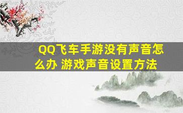 《QQ飞车手游》没有声音怎么办 游戏声音设置方法