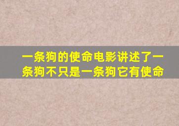 《一条狗的使命》电影讲述了一条狗,不只是一条狗,它有使命