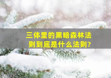 《三体》里的黑暗森林法则到底是什么法则?