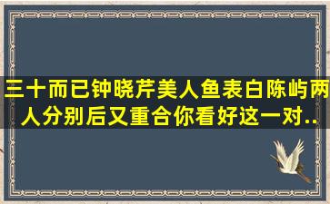 《三十而已》钟晓芹美人鱼表白陈屿,两人分别后又重合,你看好这一对...