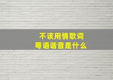 《不该用情》歌词粤语谐音是什么