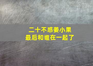 《二十不惑》姜小果最后和谁在一起了