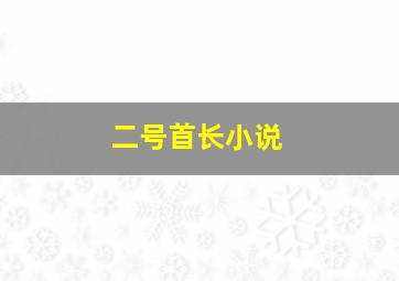 《二号首长》小说