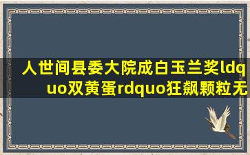 《人世间》《县委大院》成白玉兰奖“双黄蛋”,《狂飙》颗粒无收