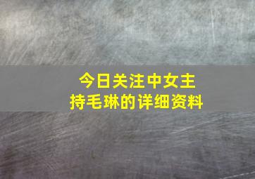 《今日关注》中女主持毛琳的详细资料