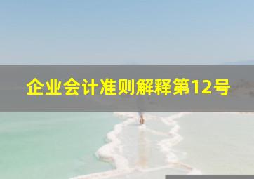 《企业会计准则解释第12号》