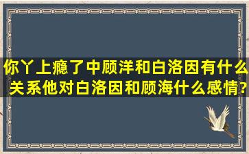 《你丫上瘾了》中顾洋和白洛因有什么关系,他对白洛因和顾海什么感情?