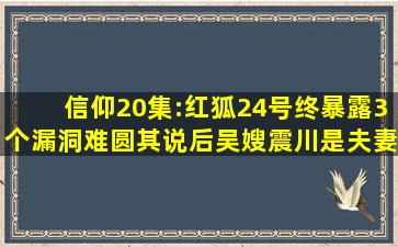 《信仰》20集:红狐24号终暴露,3个漏洞难圆其说,后吴嫂震川是夫妻