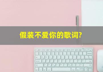 《假装不爱你》的歌词?