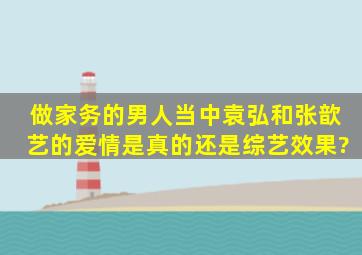 《做家务的男人》当中袁弘和张歆艺的爱情是真的,还是综艺效果?