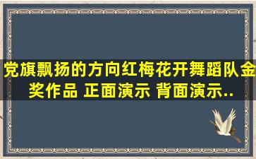 《党旗飘扬的方向》红梅花开舞蹈队金奖作品 正面演示 背面演示...